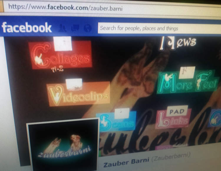 facebook.com/zauber.barni